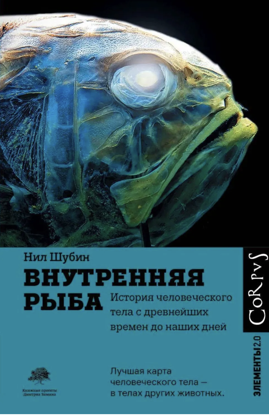 5 книг: 5 книг о том, что скрывает океан