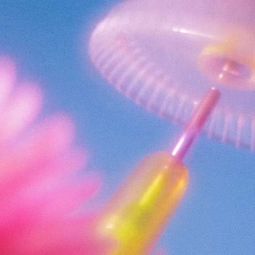 Прозрачное и биосовместимое: будущее органической электроники