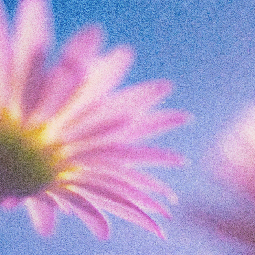 Как культура формирует психологическую травму