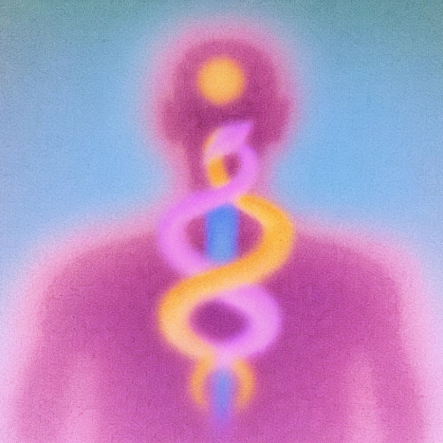 5 фактов о ядах