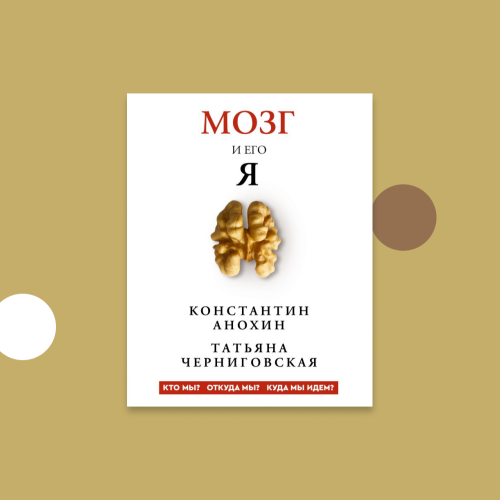 Теория когнитома