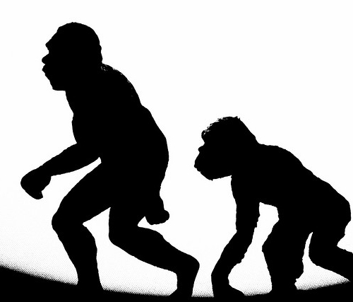 Древнейший Homo sapiens: в погоне за первым человеком