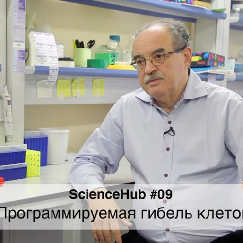 ScienceHub 09: Программируемая гибель клеток