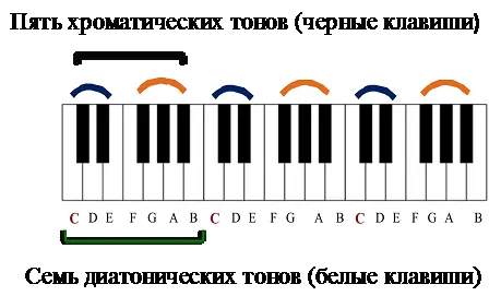 Лонгриды: Эмоции в музыке: восприятие расстояний в тональном поле