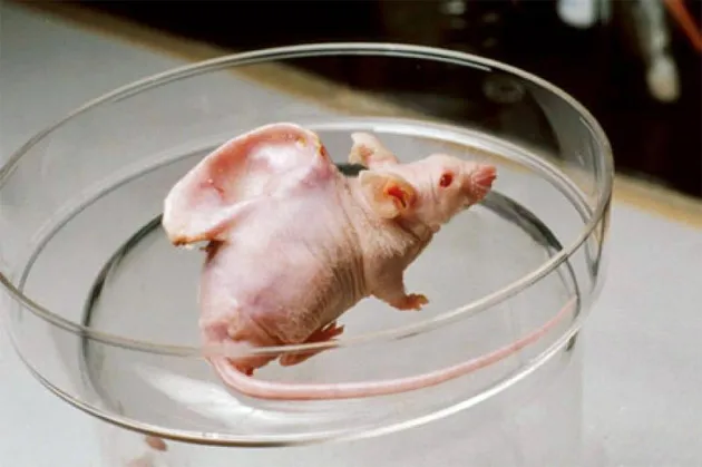 Лонгриды: Главы | Конец Homo sapiens