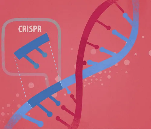 Технология редактирования генома CRISPR/Cas9