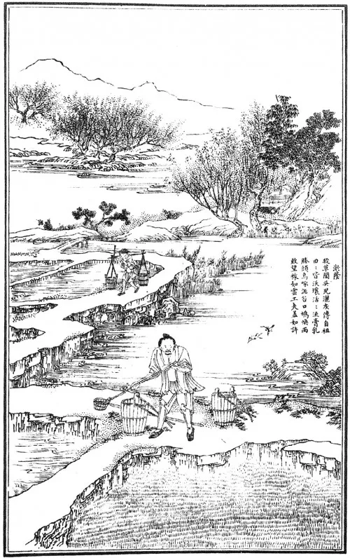 Лонгриды: Главы: Китай и Европа. Анализ и сопоставления