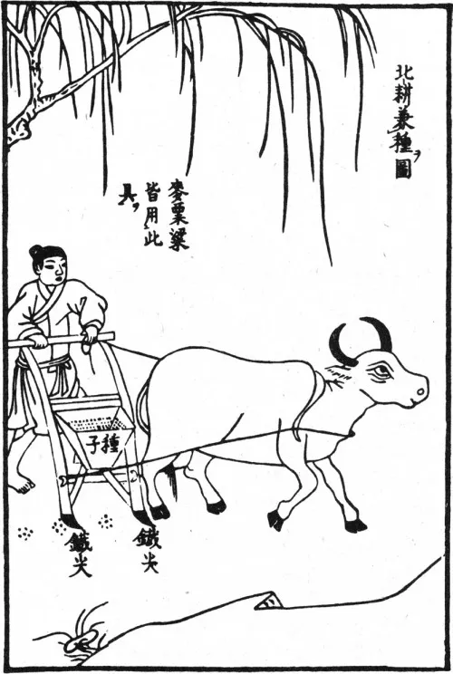 Лонгриды: Главы: Китай и Европа. Анализ и сопоставления