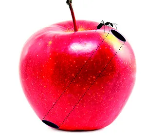 Лонгриды: Главы: Червоточины