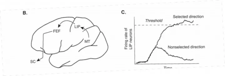 talks: Василий Ключарев: «Особенности нашего экономического поведения
