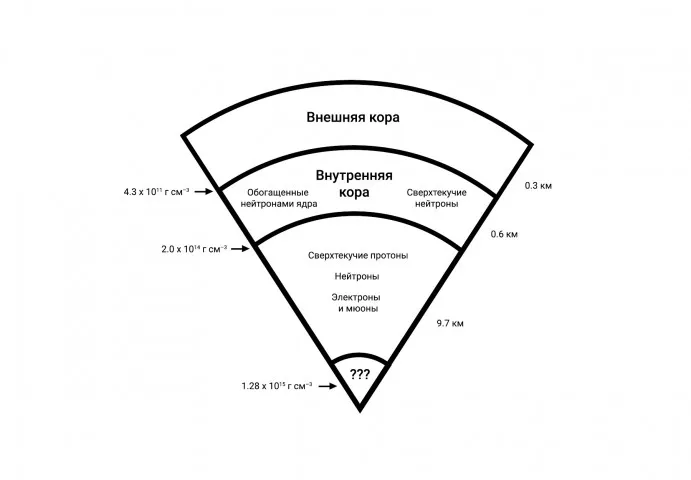 Лонгриды: Главы: Многообразие нейтронных звезд