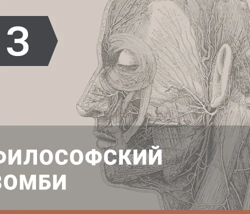 Философия сознания: Зомби
