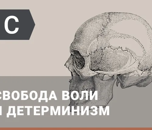 Философия сознания: Свобода воли и детерминизм