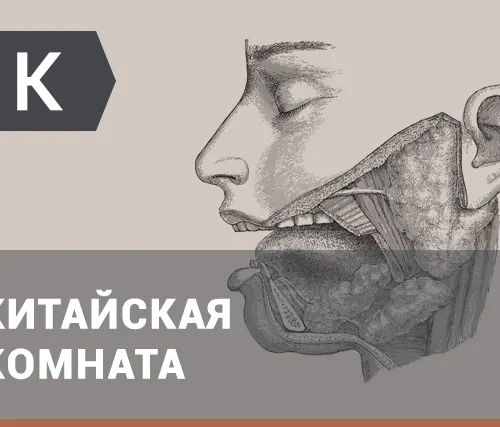 Философия сознания: Китайская комната