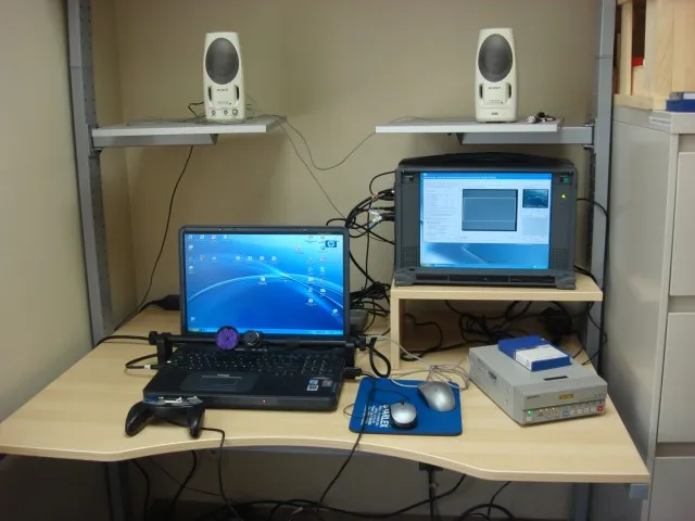 Лонгриды: Метод записи движений глаз в психолингвистике