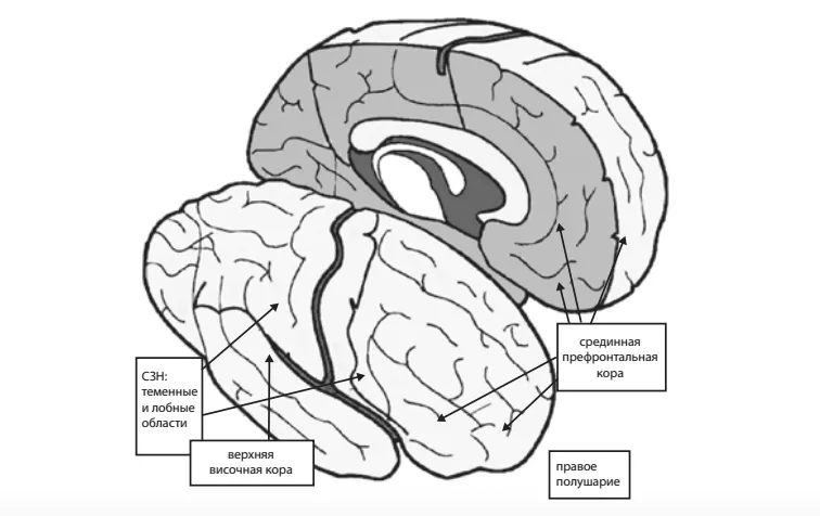 Лонгриды: Главы: Внутренняя сонастройка