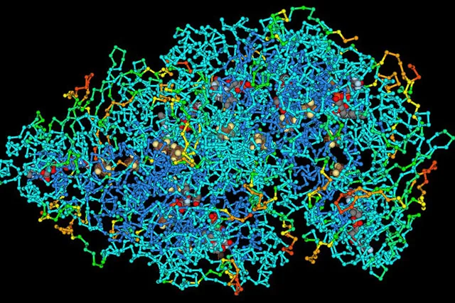 FAQ: Нанобиотехнологии