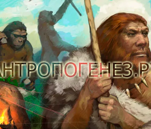 Портал Антропогенез.РУ