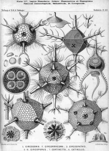 Лонгриды: Невероятные числа профессора Стюарта