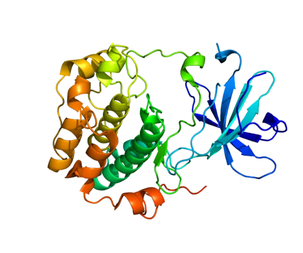 FAQ: Посттравматический стрессовый синдром