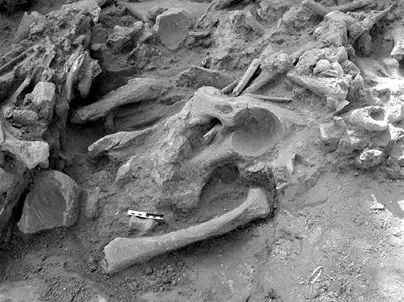 Лонгриды: Принцип Джаггера