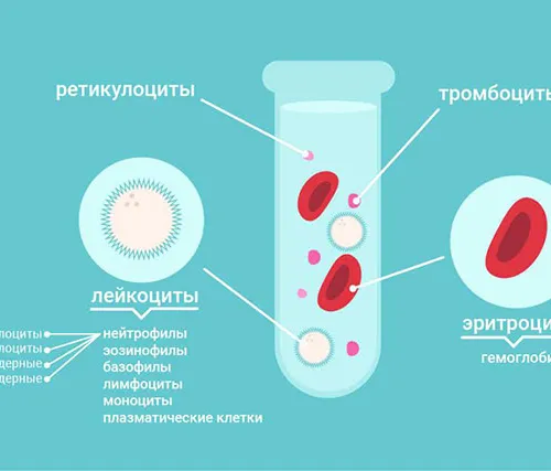 Анализ крови