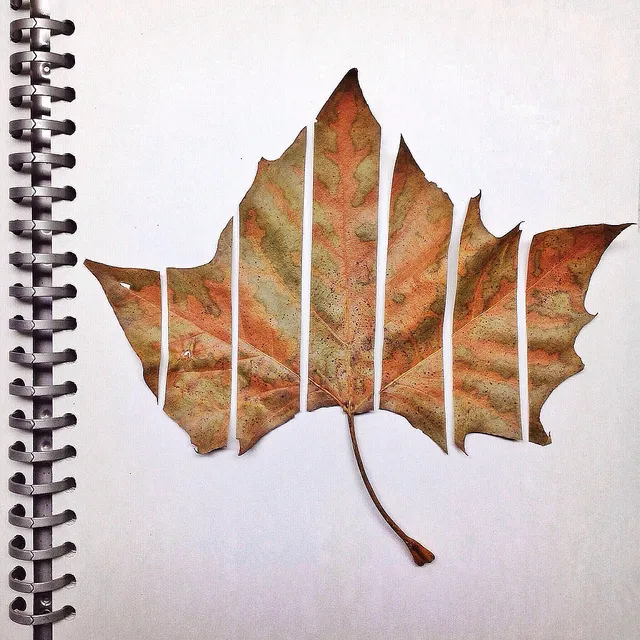 FAQ: Гештальтпсихология