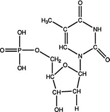 Лонгриды: Знакомьтесь: самая главная молекула