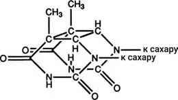 Лонгриды: Знакомьтесь: самая главная молекула