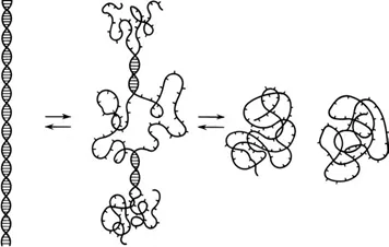 Лонгриды: Знакомьтесь: самая главная молекула