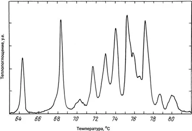 Лонгриды: Знакомьтесь: самая главная молекула