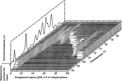 Лонгриды: Знакомьтесь: самая главная молекула