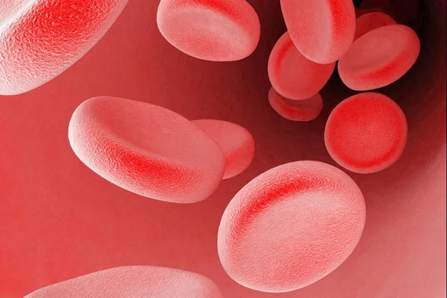 FAQ: Анемия: симптомы и лечение