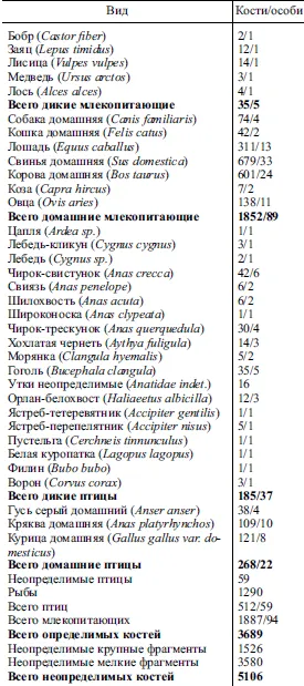 Лонгриды: Находка на Рюриковом городище