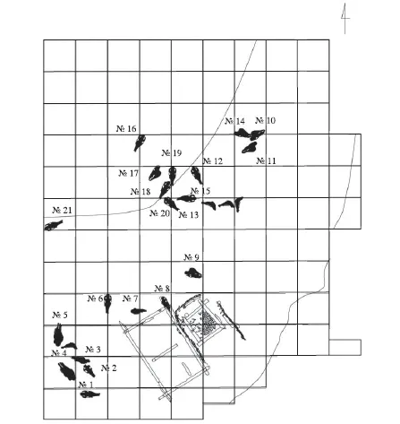 Лонгриды: Находка на Рюриковом городище