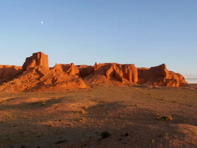 FAQ: Яйца динозавров