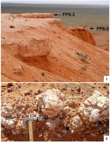 FAQ: Яйца динозавров