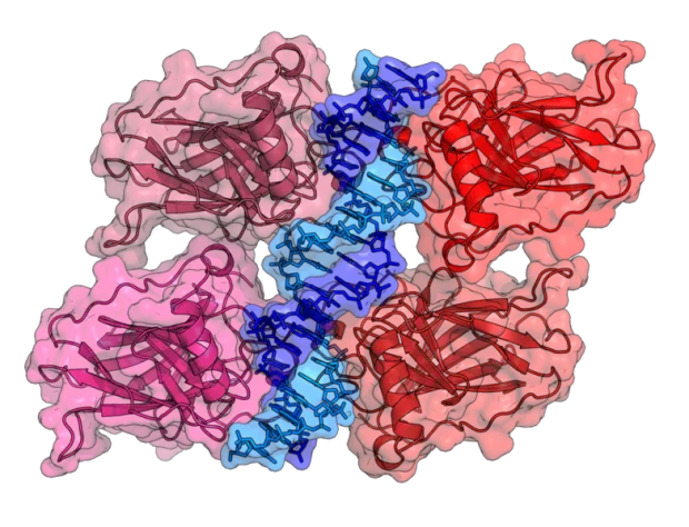 FAQ: Химиотерапия