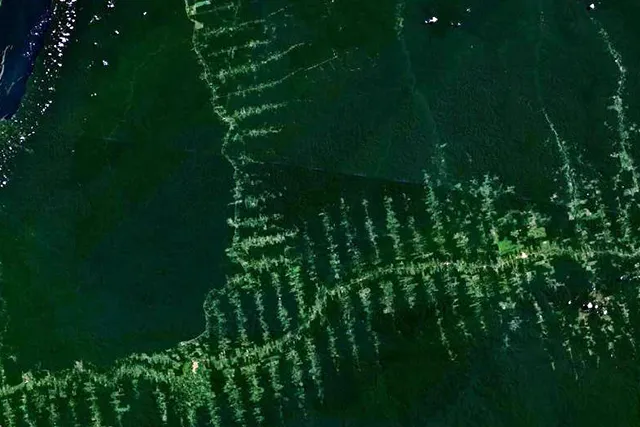 Вырубка лесов Амазонки