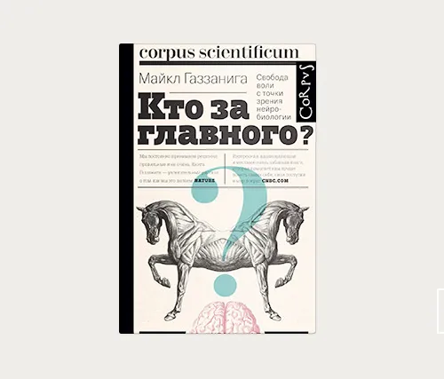 Расщепление мозга