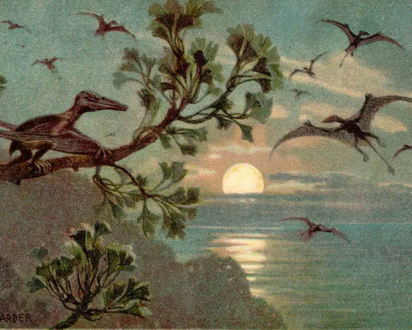 FAQ: Птерозавры и места их обитания