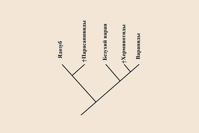Лонгриды: Варан: история современного дракона