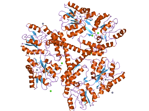 Структура белка гентингтина с присоединенным мальтоза-связывающим белком