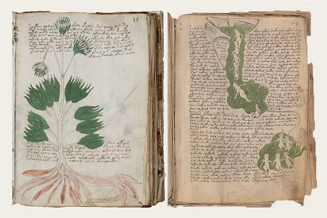 Страницы 34 и 74 из манускрипта Войнича