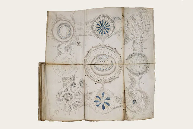 Разворот Рукописи Войнича