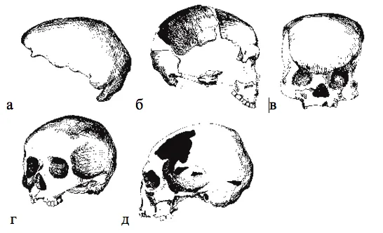Лонгриды: Главы | Homo sapiens: мы ￼
