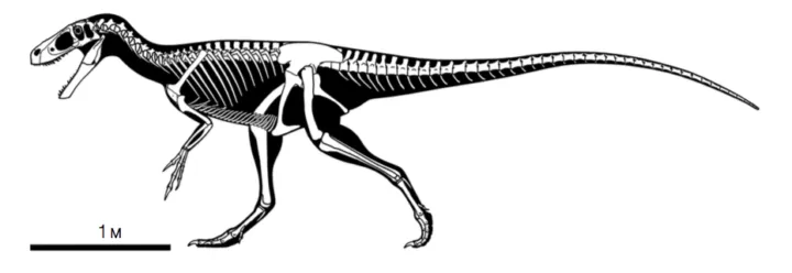Лонгриды: Главы | Хроники тираннозавра