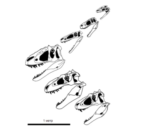 Лонгриды: Главы | Хроники тираннозавра