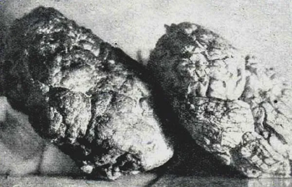 Лонгриды: Ошибки антропологов