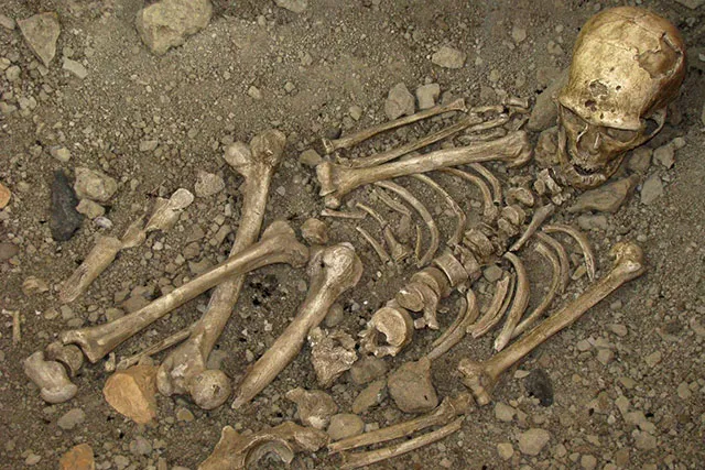 Лонгриды: Ошибки антропологов